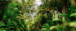 Private jet charter Trinidad & Tobago