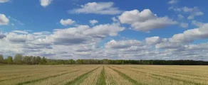 Private jet and helicopter charter in Tyumen Roschino