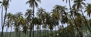 Private plane and helicopter rental in Union Island