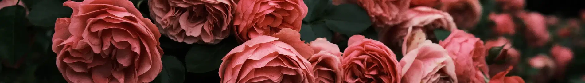 Private Jet & Helicopter Charter Yuzhno Sakhalinsk