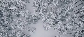Private Jet and Helicopter Charter in Poltava
