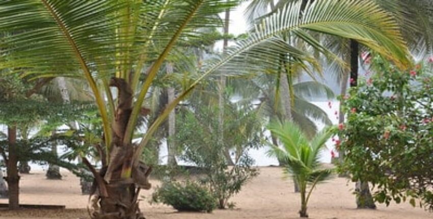 Ivory Coast: Private Jet Charter