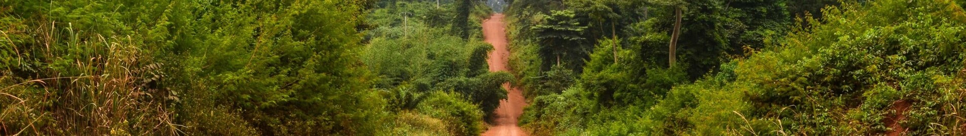 Ivory Coast : Private jet charter 