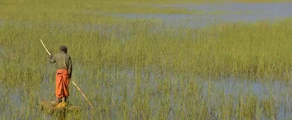Private plane and helicopter rental in Luzamba