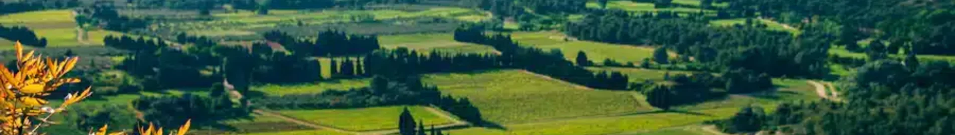 Private plane and helicopter rental in Mauleon