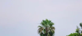 Private jet and helicopter charter in Isiro Matari