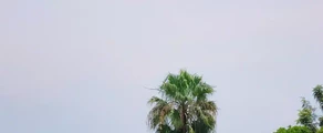 Private jet and helicopter charter in Bukavu Kavumu