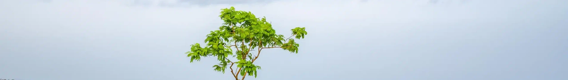 Private jet and helicopter charter in Akure