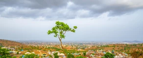 Private Jet and Helicopter Charter in Minna New