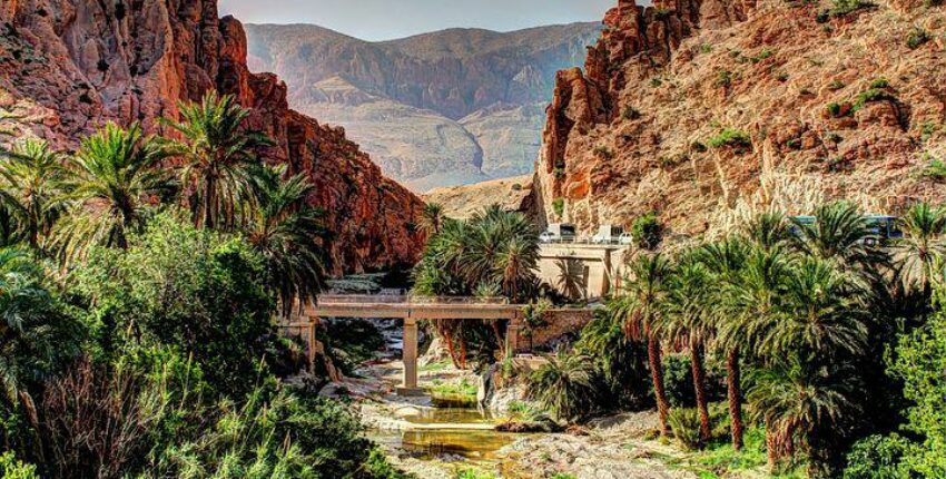 Private Jet Charter in Algeria