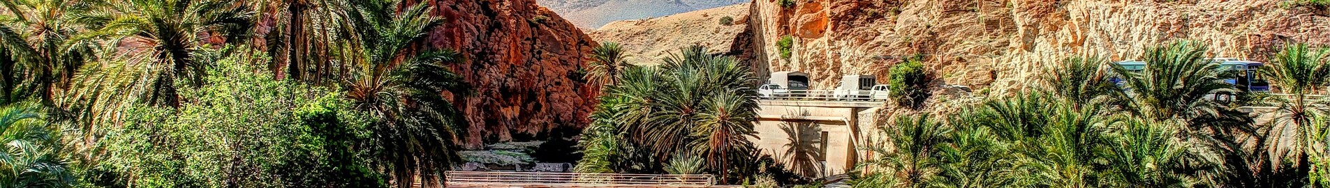 Private jet and helicopter charter in Biskra