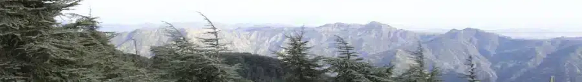 Private plane and helicopter rental in Blida