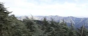 Private plane and helicopter rental in Blida