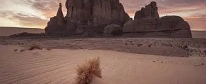 Private jet rental Algeria
