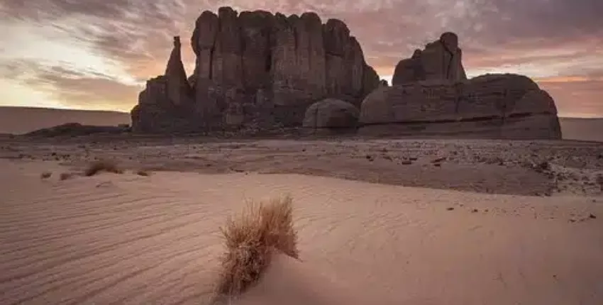Private Jet Charter in Algeria