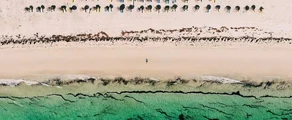 Private jet and helicopter charter in Djerba Zarzis