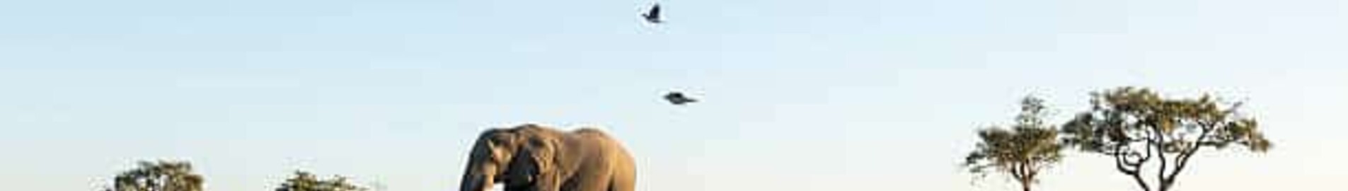 Air freight to Africa with AEROAFFAIRES