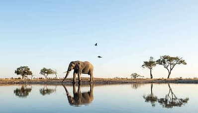 Air freight to Africa with AEROAFFAIRES