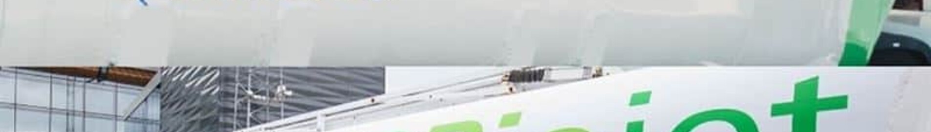 Biofuels: the near future for private jets?