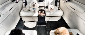 AEROAFFAIRES: book a private jet anywhere, any time