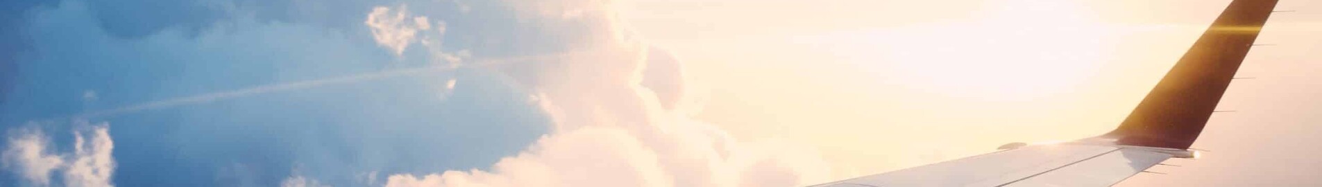 Flexflight : airline