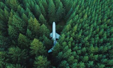 Avion dans une foret