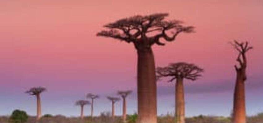 **location de jet privé - Coucher de soleil à Madagascar**