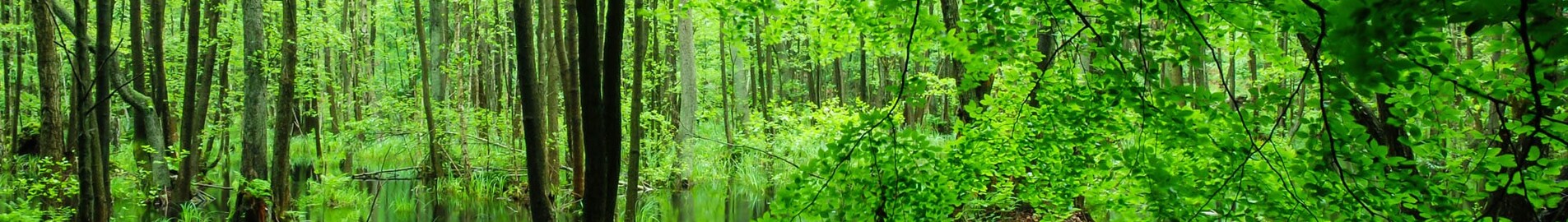 Private jet rental in Eberswalde