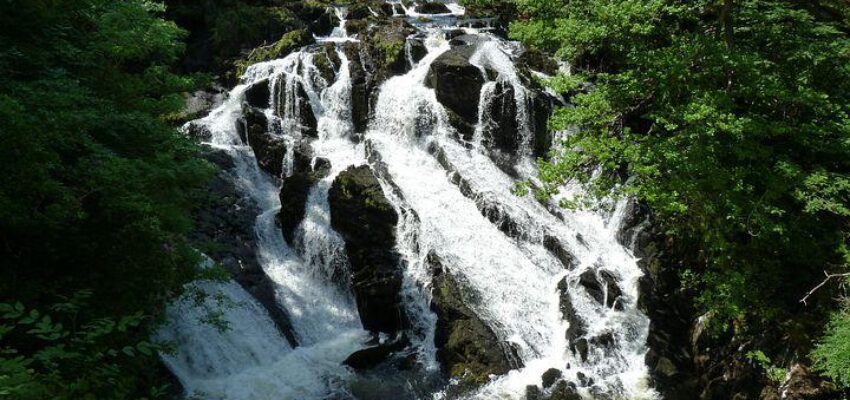 swallow falls