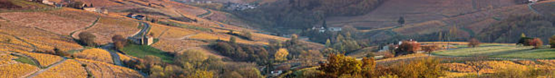 Private jet rental in Villefranche Tarare