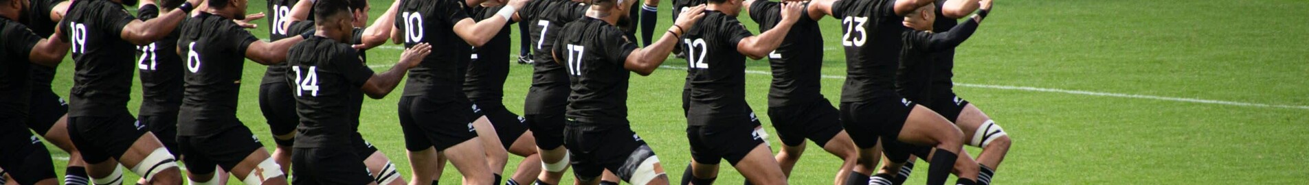 Rugby World Cup 2023: fly away in a private jet.