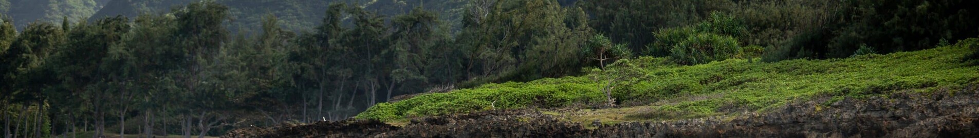 Hawaii : Private jet and helicopter rental