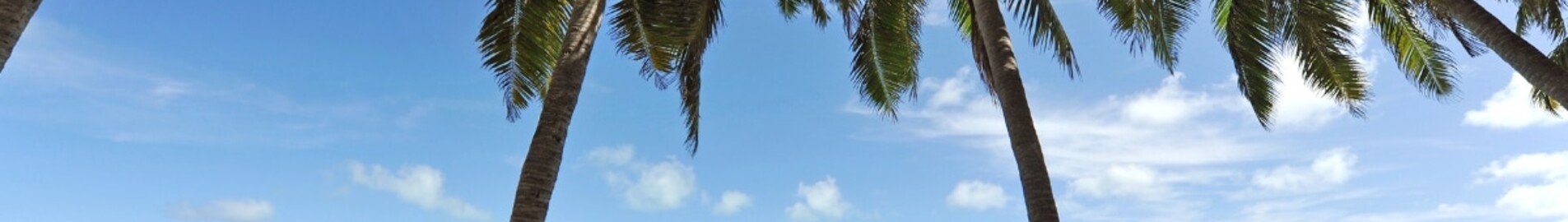 Top flying destinations for summer 2024