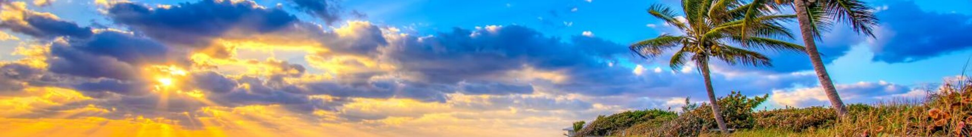 Geneva - Palm Beach : private jet rental