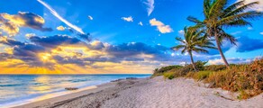 Geneva - Palm Beach : private jet rental