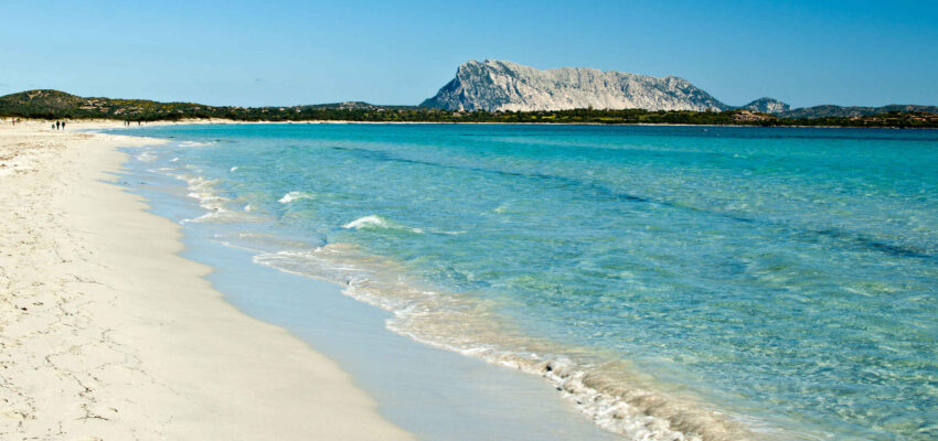 olbia 3