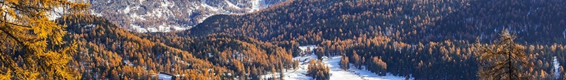 Saint-Tropez - Saint-Moritz Samedan : private jet rental