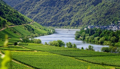 European vineyards to visit by private jet