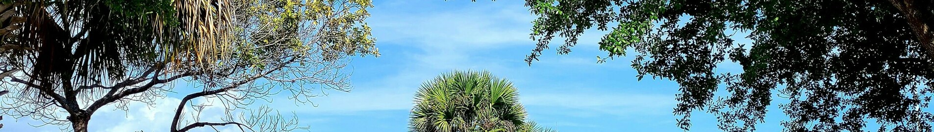 Los Angeles - Tampa: private jet hire