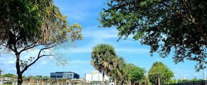 Los Angeles - Tampa: private jet hire