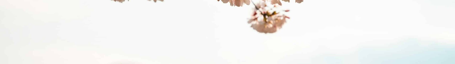 Las Vegas - Washington DC: private jet hire