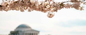Las Vegas - Washington DC: private jet hire