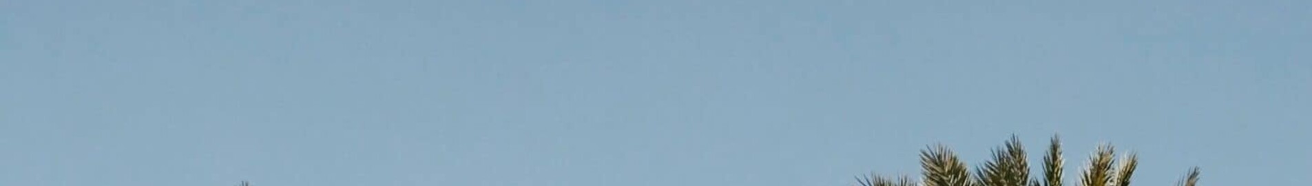 Houston - Orlando: private jet hire