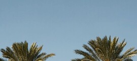 Houston - Denver: private jet hire