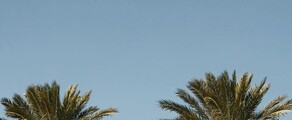 Houston - Orlando: private jet hire