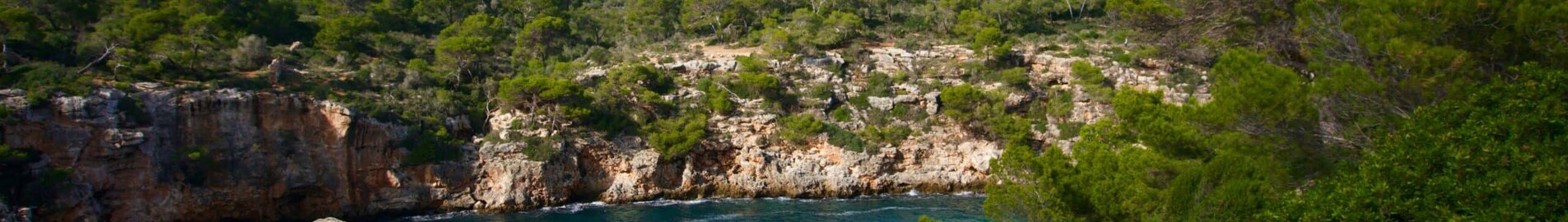 Frankfurt - Palma : private jet charter