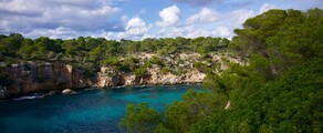 Frankfurt - Palma : private jet charter