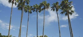 Los Angeles - Chicago: private jet hire