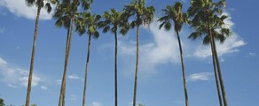 Los Angeles - Orlando: private jet hire