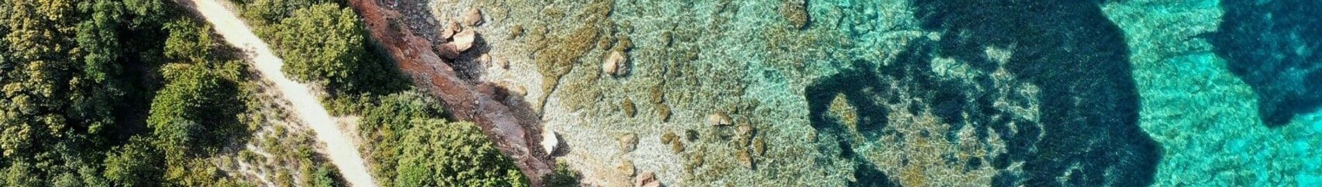 Frankfurt - Olbia: private jet charter